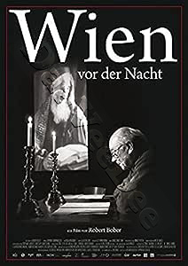 Vienna Before Dark | Vienne avant la nuit  |   DVD